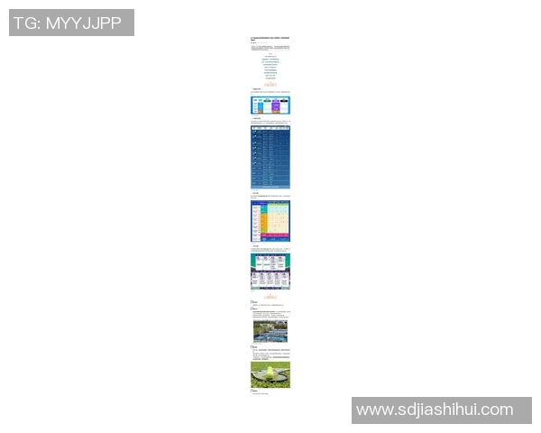 运动最新数据上海网球队网球耐力排名创历史新高展现团队实力与拼搏精神